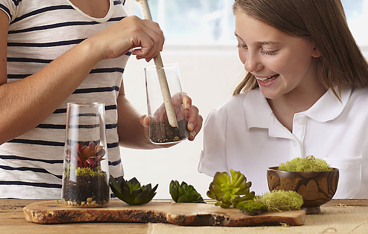 Create your own terrarium showcase with our Symmetry Trio!