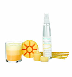 Fresh Lavender Sandalwood