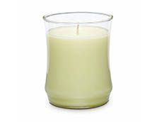 Fresh Citrus Nectar
