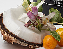 Coconut Caress