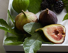 Fig Fatale